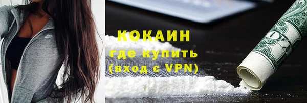 молекула духа Богданович