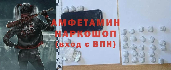 молекула духа Богданович