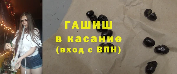 молекула духа Богданович