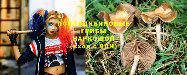 ешки Богородицк