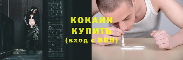 молекула духа Богданович