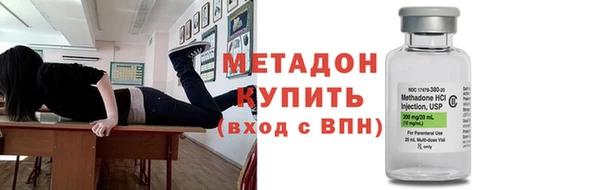молекула духа Богданович