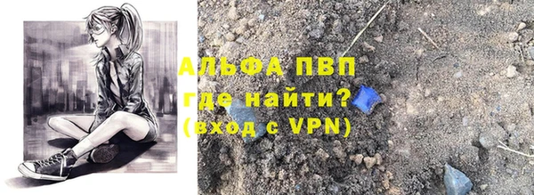 молекула духа Богданович