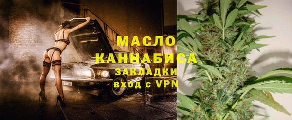 молекула духа Богданович