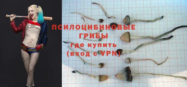молекула духа Богданович