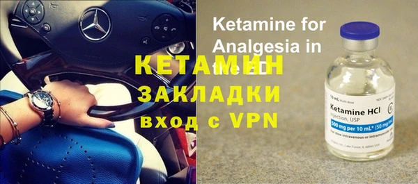 молекула духа Богданович