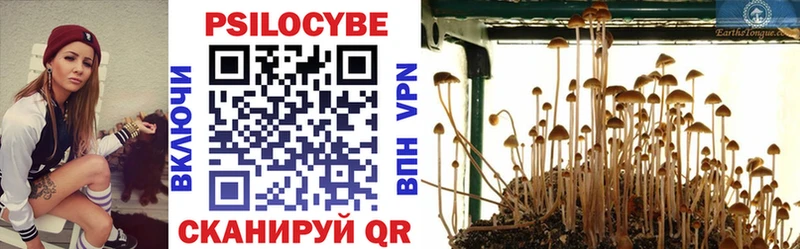 Купить закладки  Медногорск  Псилоцибиновые грибы Psilocybine cubensis 