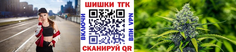 Купить где  Медногорск  Каннабис планчик 
